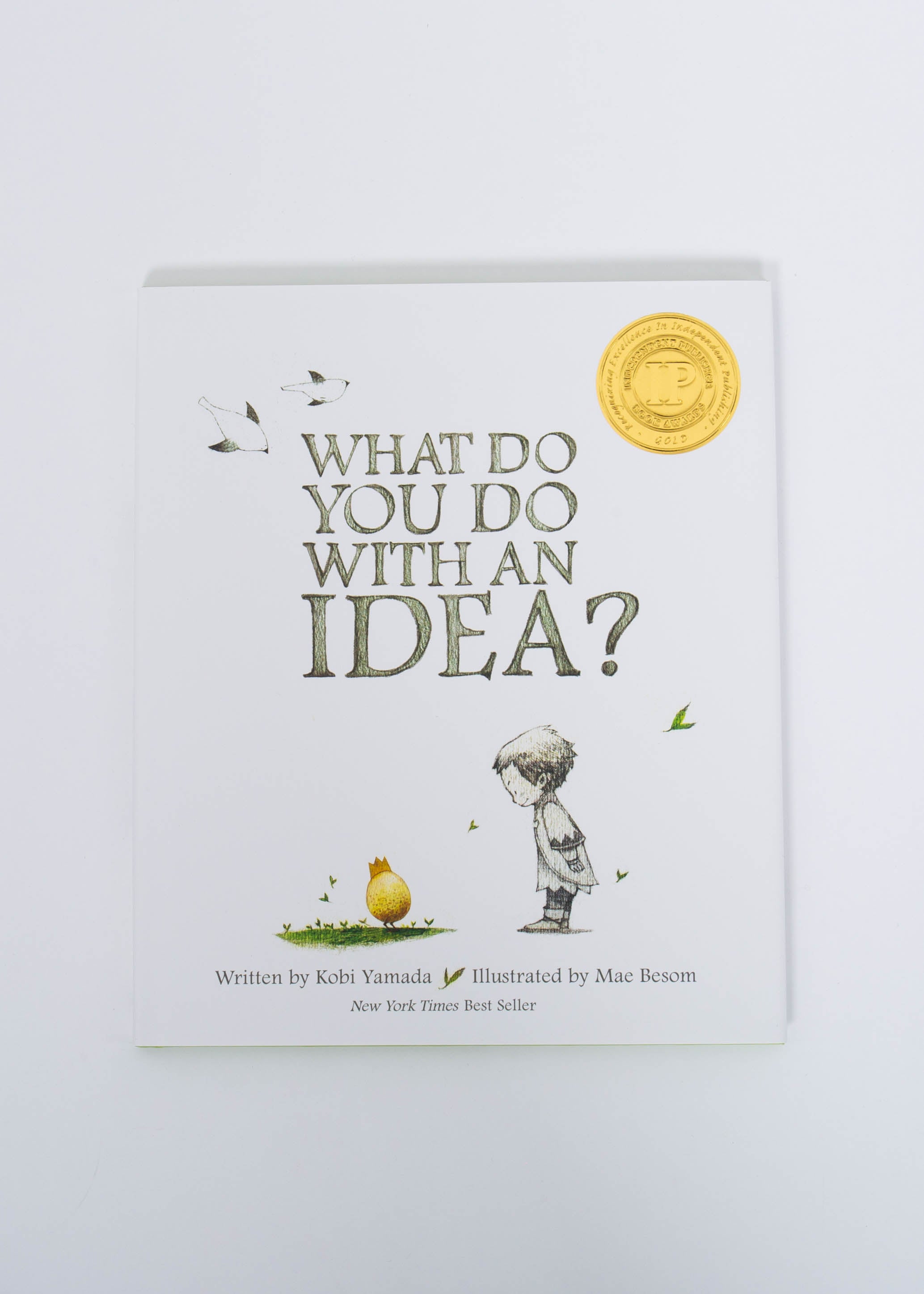 What Do You Do With an Idea Book – Desert Sol