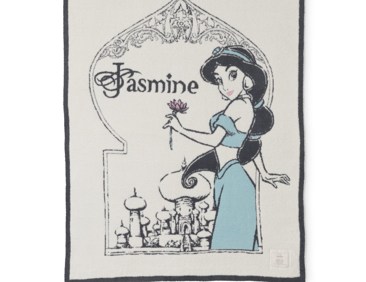 Cozy Disney Princess Blanket