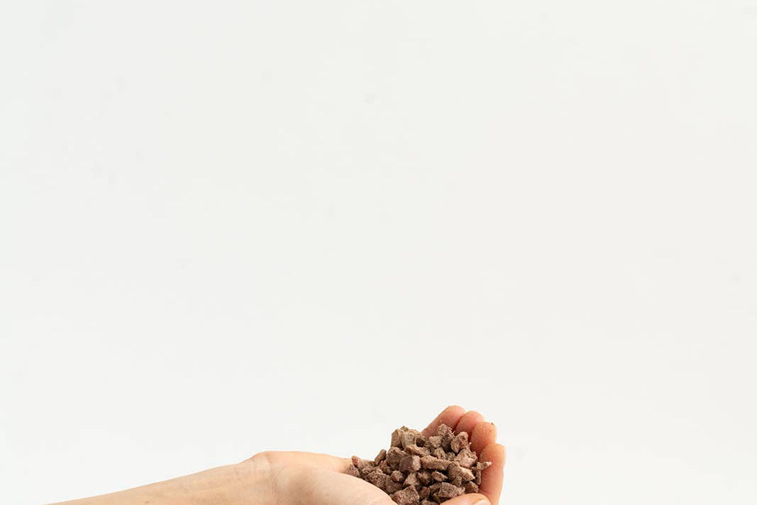 Hand holding a small pile of coffee beans against a white background