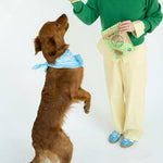 Woman in green sweater and yellow pants standing next to a brown dog wearing a blue bandana on a white background