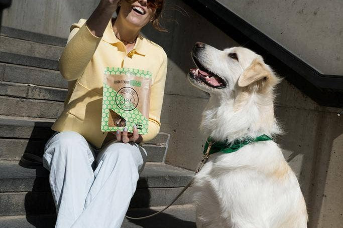Woman sitting on steps with a dog, both looking up, in an urban setting.