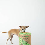 Small dog standing next to a bag of dog treats on a white background