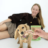Person feeding a dog a treat with another person sitting in the background.