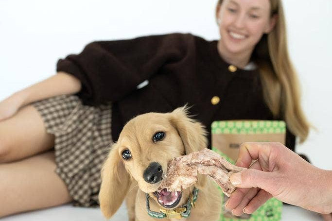 Person feeding a dog a treat with another person sitting in the background.