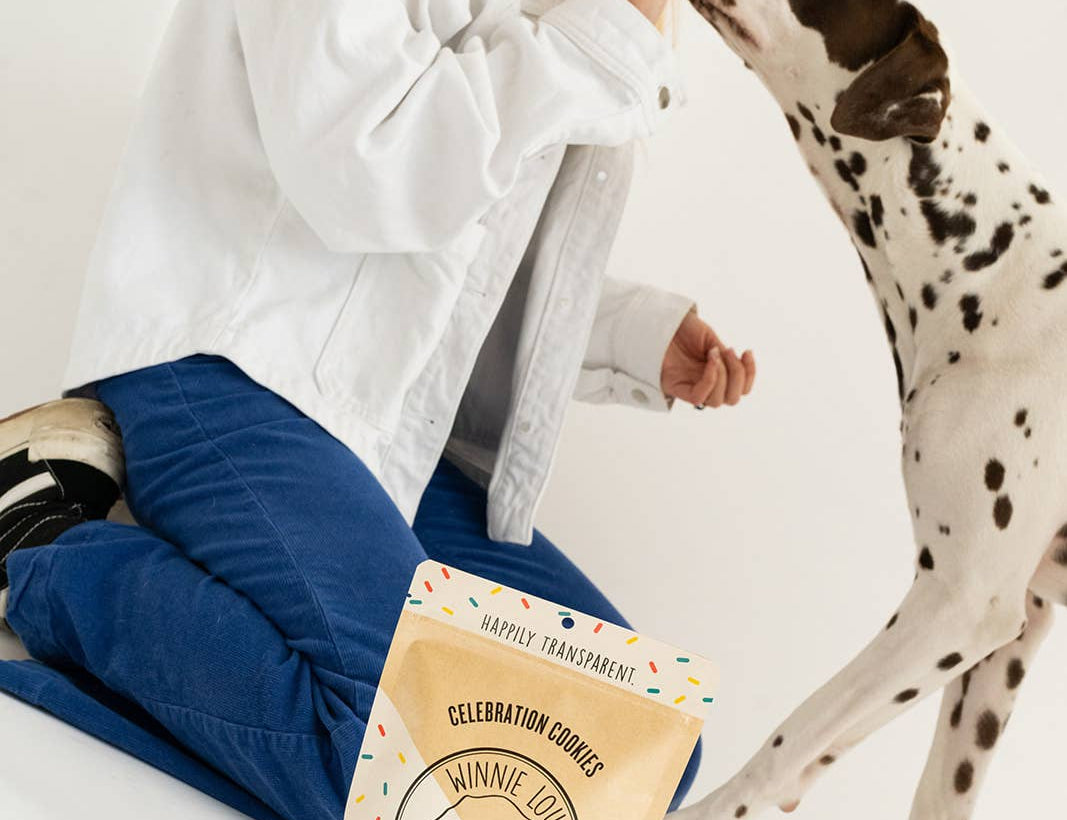 Person sitting on the floor with a Dalmatian dog and a bag of dog food.