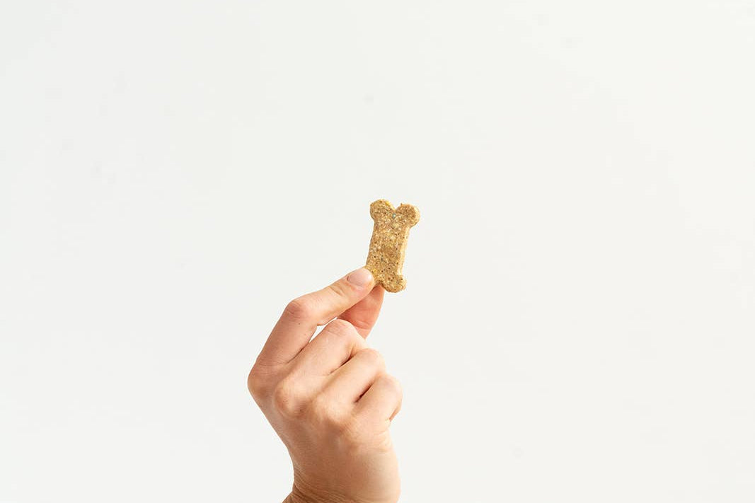 Hand holding a gold dog bone-shaped treat against a white background
