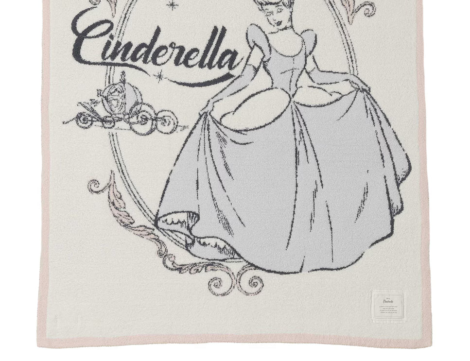 Cozy Disney Princess Blanket