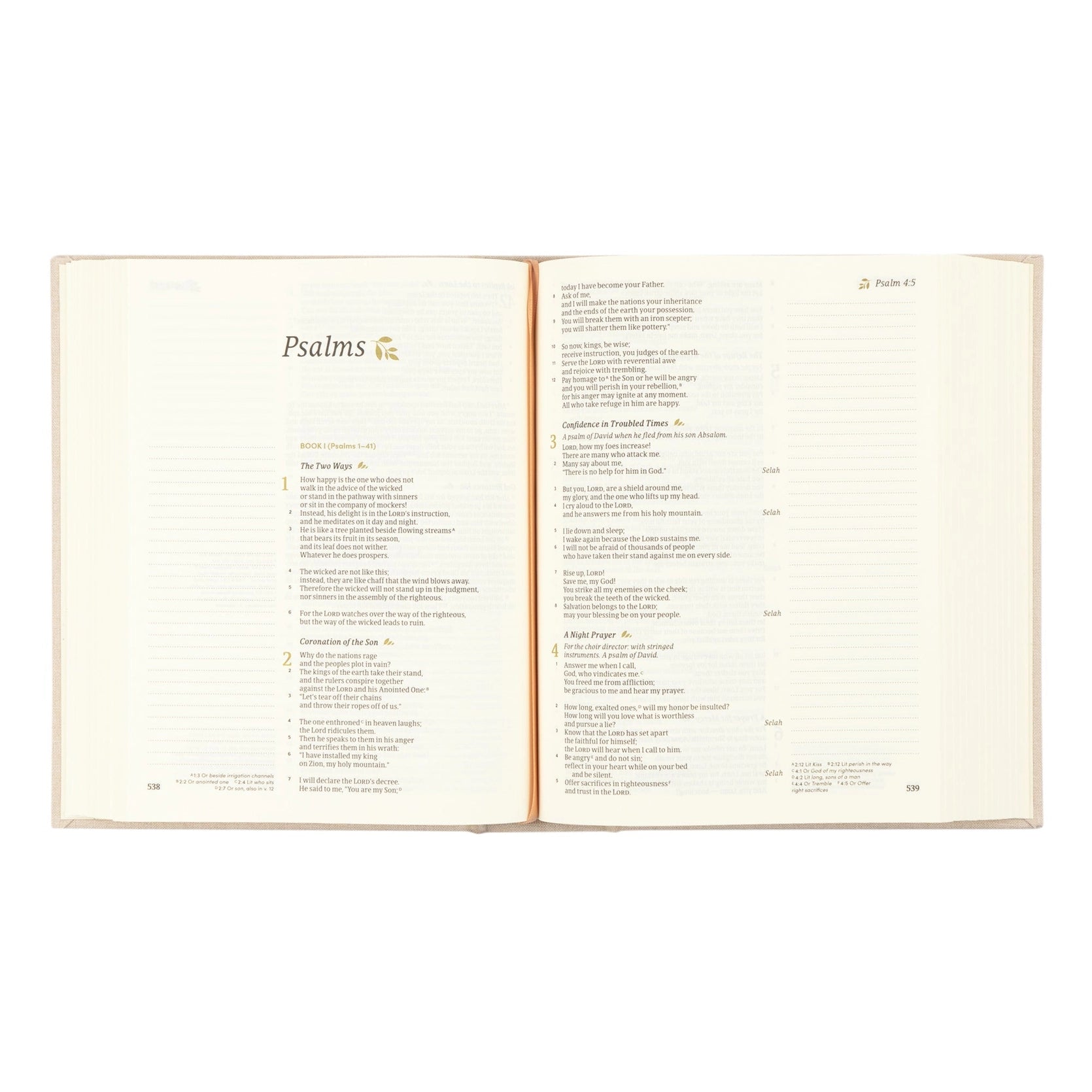 Open book displaying text on a white background