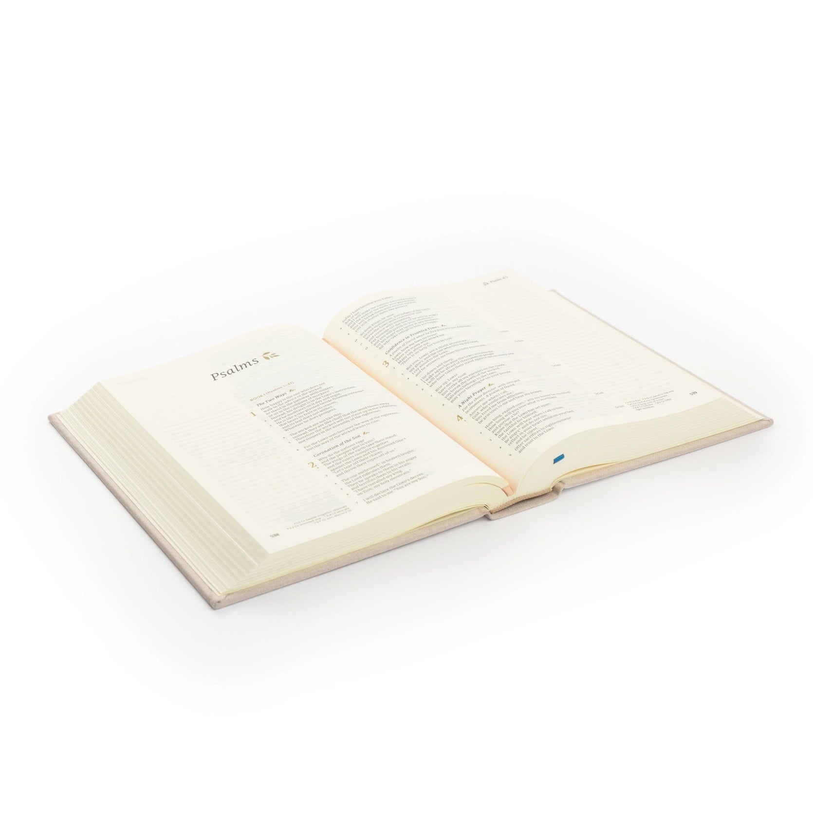Open book on a white background