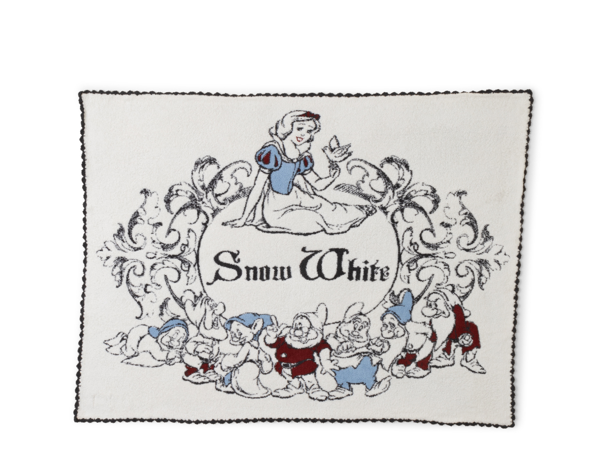 Cozy Disney Princess Blanket