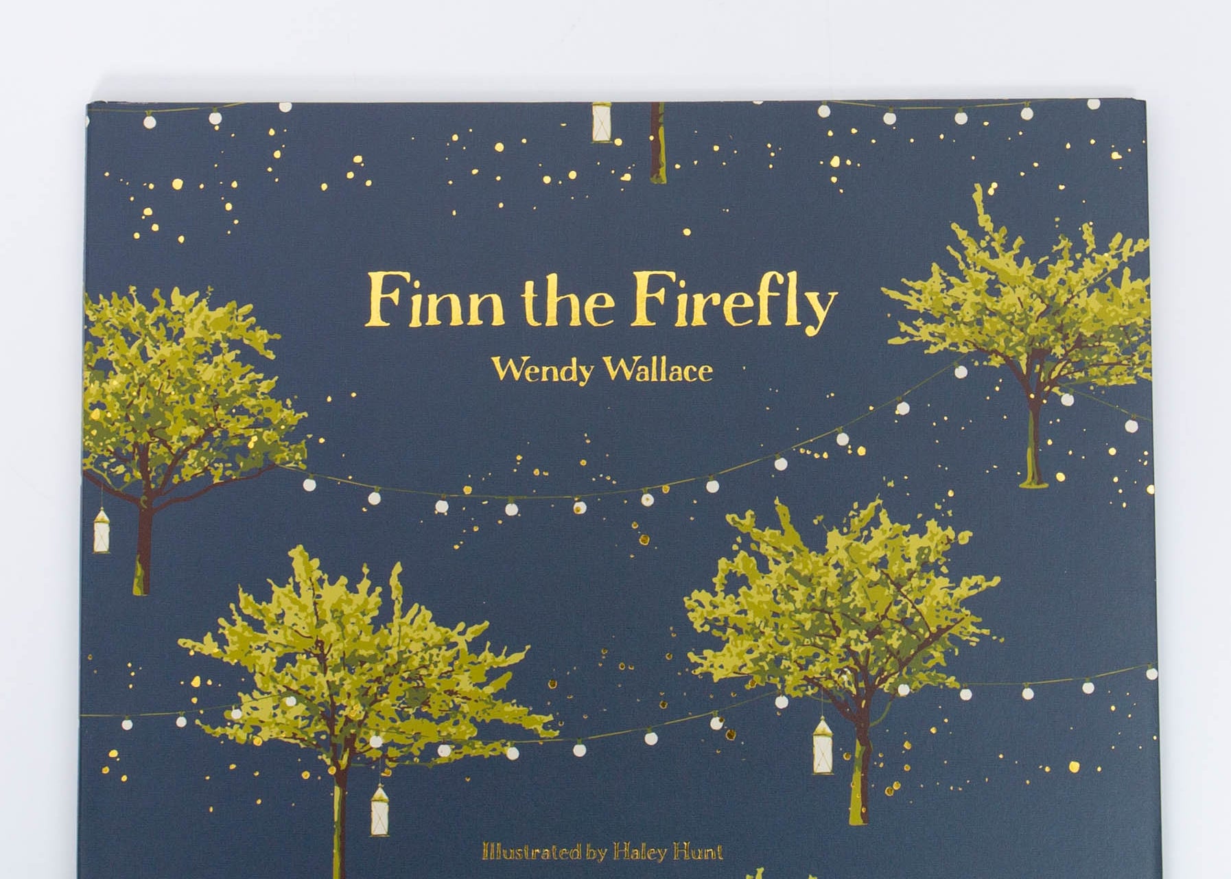 Finn the Firefly Book – Desert Sol