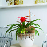 White Hideaway Pot with two tone neutral base and woven rattan detailing around top rim, holding tropical red flower plant. 