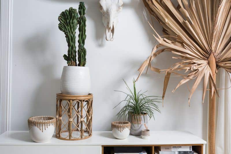White Hideaway Pot with two tone neutral base and woven rattan detailing around top rim. Surrounded by other baskets and plants in white interior.