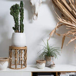 White Hideaway Pot with two tone neutral base and woven rattan detailing around top rim. Surrounded by other baskets and plants in white interior.