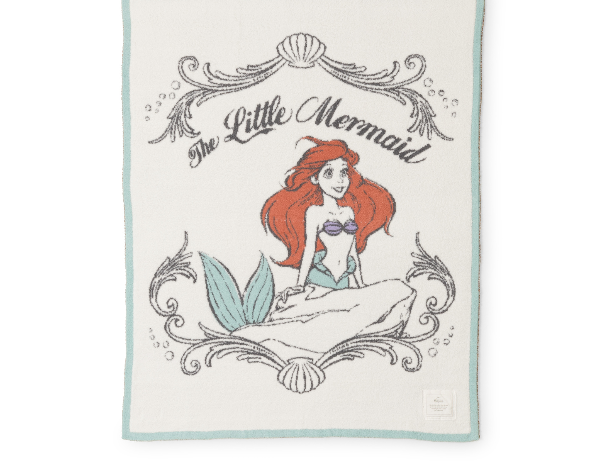 Cozy Disney Princess Blanket