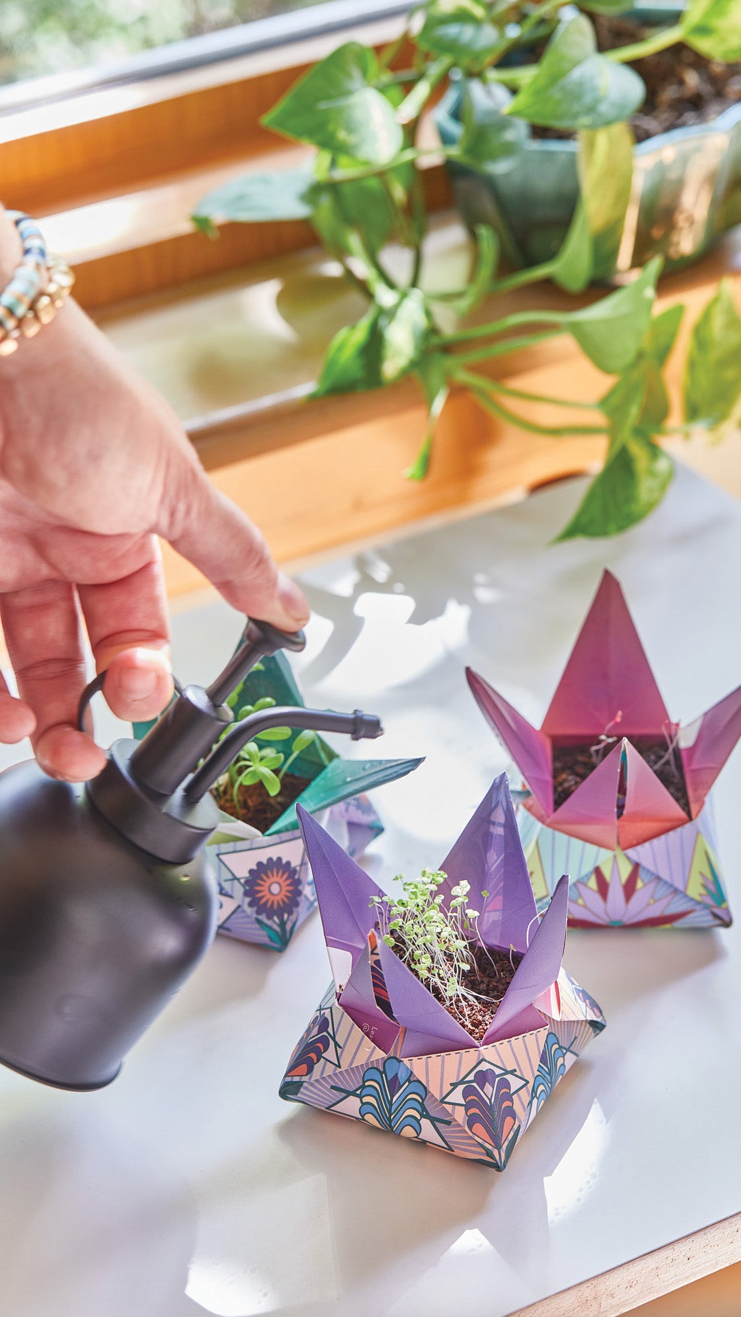Origami style plant holders in pink purple and blue and person using cute mini watering can 