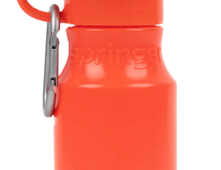 Mini Travel Bottle (15oz)