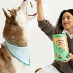 Woman giving a high-five to a dog while holding a bag of treats.