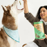 Woman giving a high-five to a dog while holding a bag of treats.