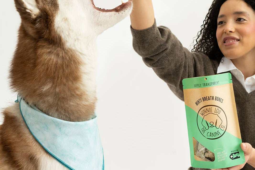 Woman giving a high-five to a dog while holding a bag of treats.