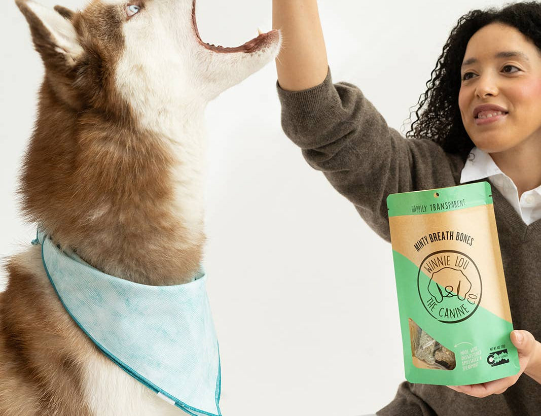 Woman giving a high-five to a dog while holding a bag of treats.