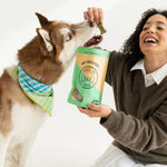 Person feeding a dog a treat from a bag labeled 'Nylabone'