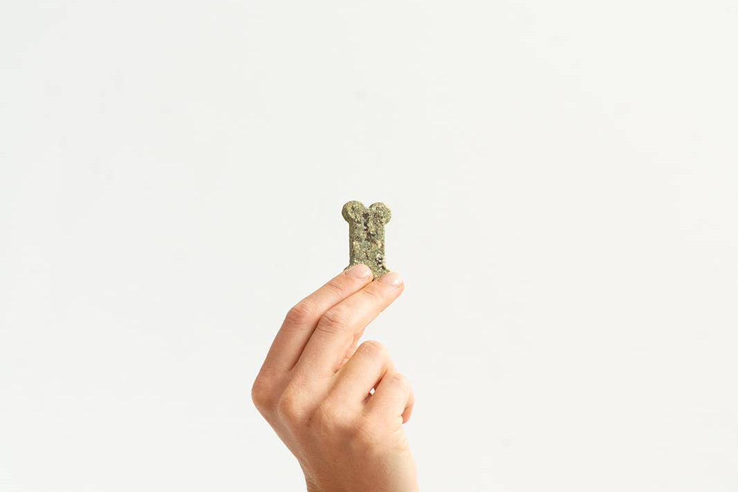 Hand holding a small green object against a white background