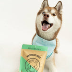 Dog with a package of Minty Breath Bones on a white background