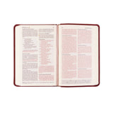 Open book with red cover on a white background