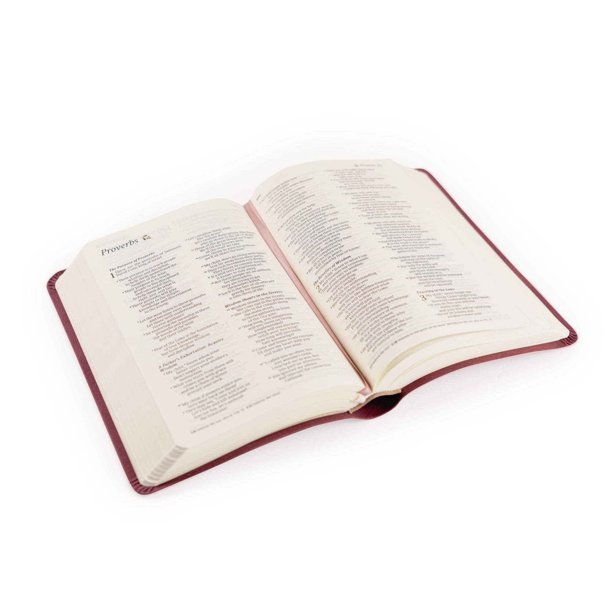 Open book with red binding on a white background