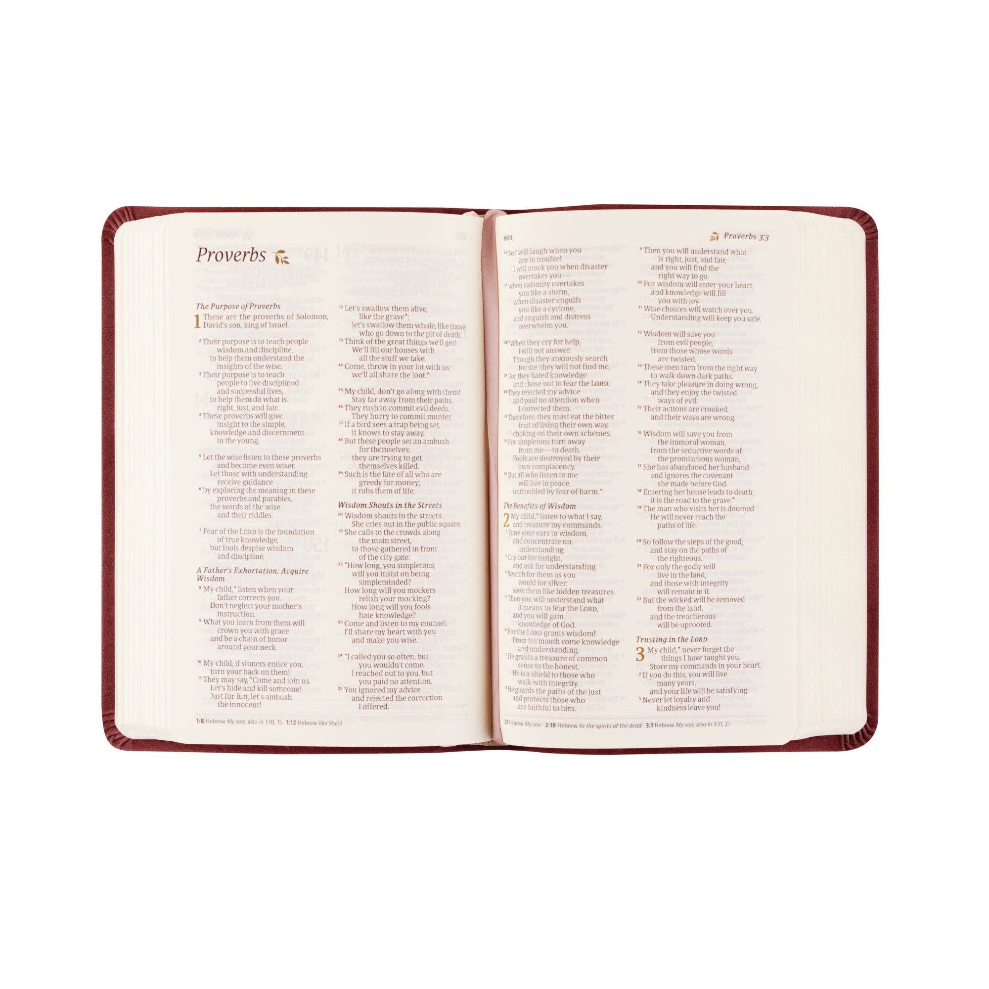 Open book with text on a white background