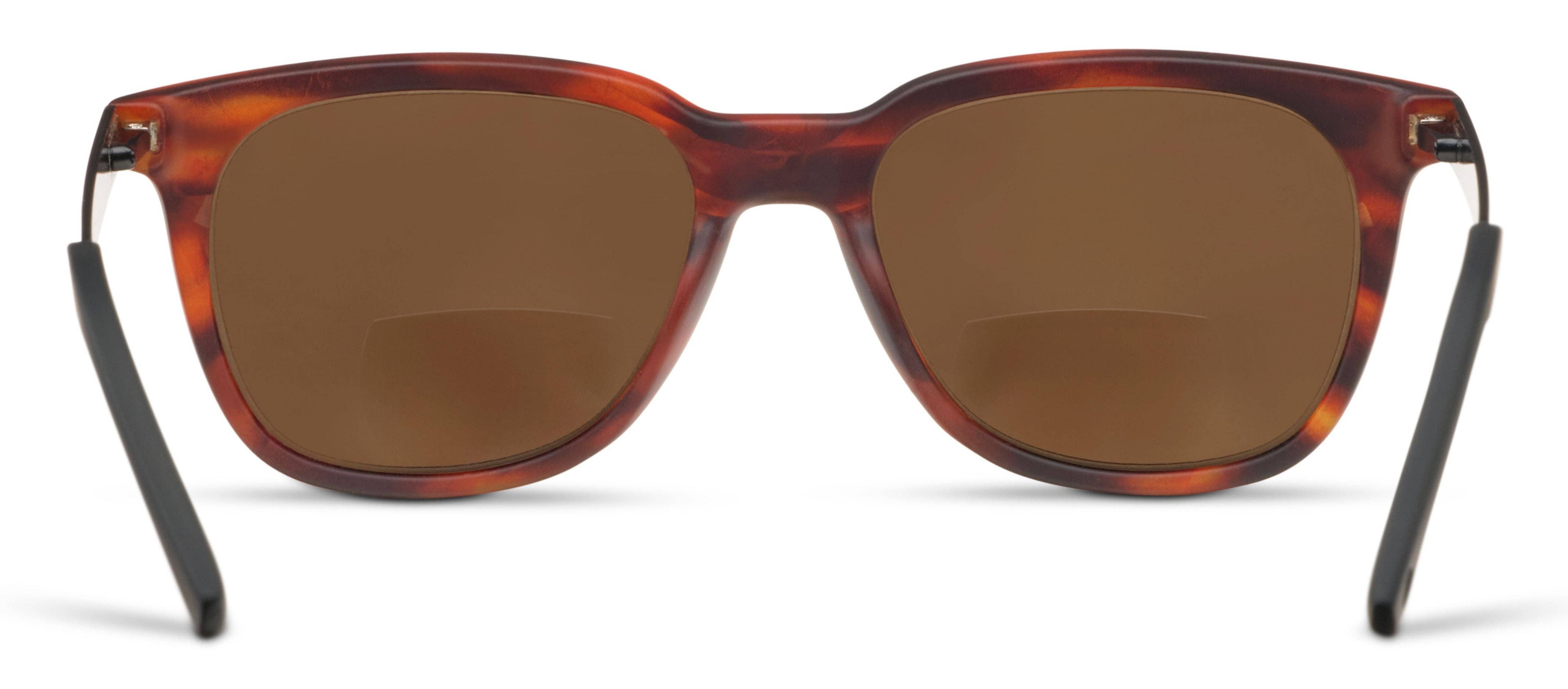 Sunglasses with tortoiseshell frame and brown lenses on a white background