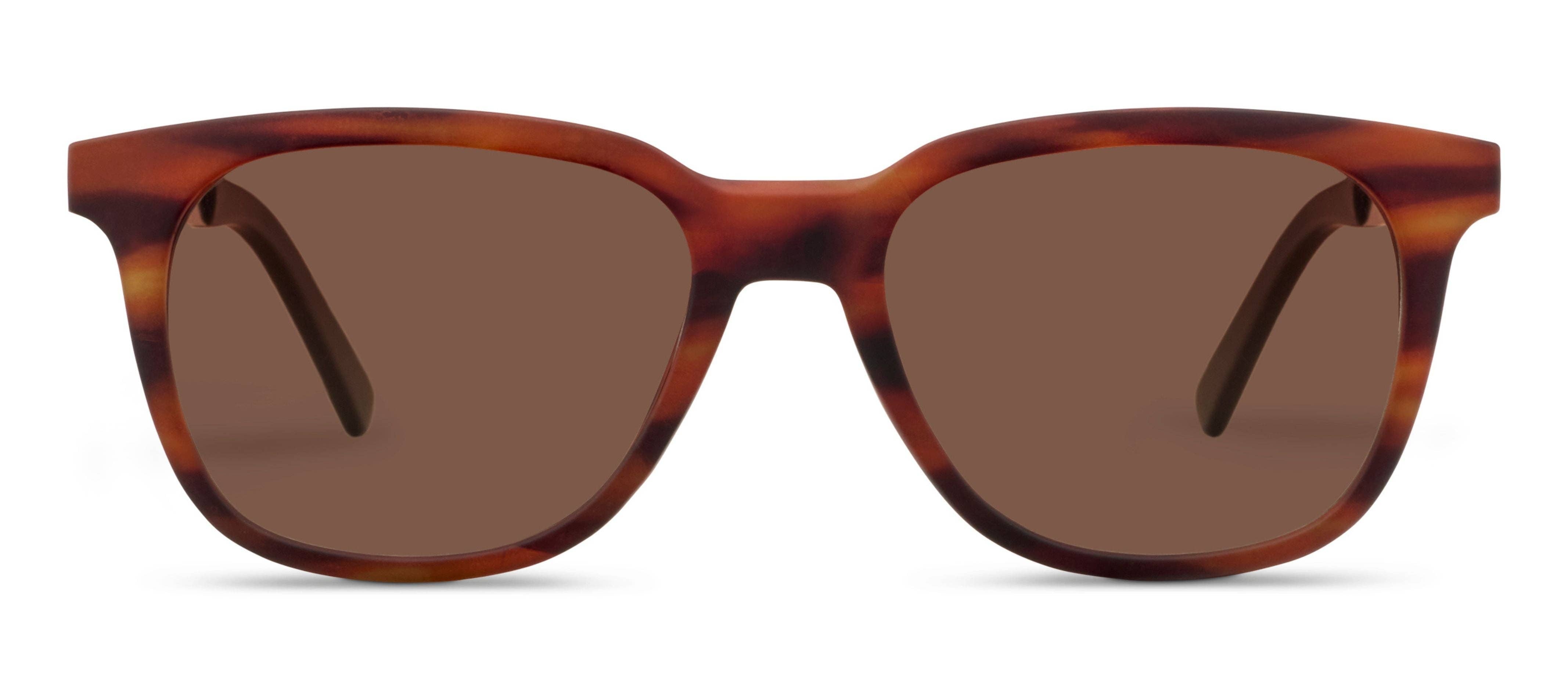 Tortoiseshell sunglasses with brown lenses on a white background