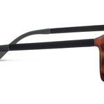 Sunglasses with tortoiseshell frame and brown lenses on a white background
