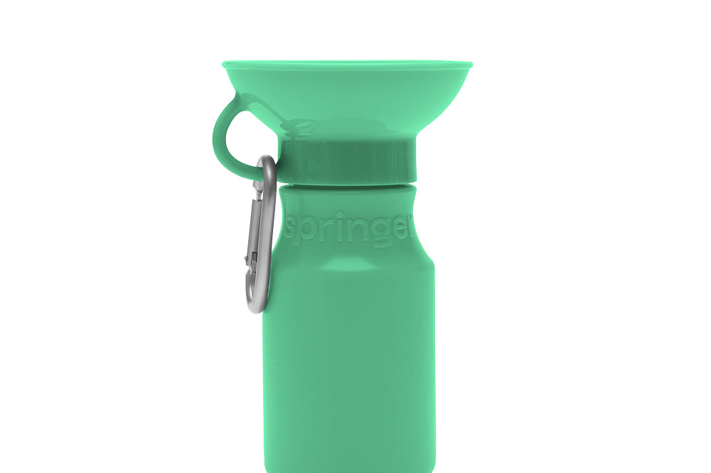 Mini Travel Bottle (15oz)