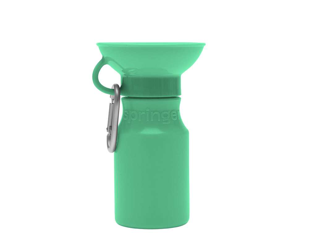 Mini Travel Bottle (15oz)