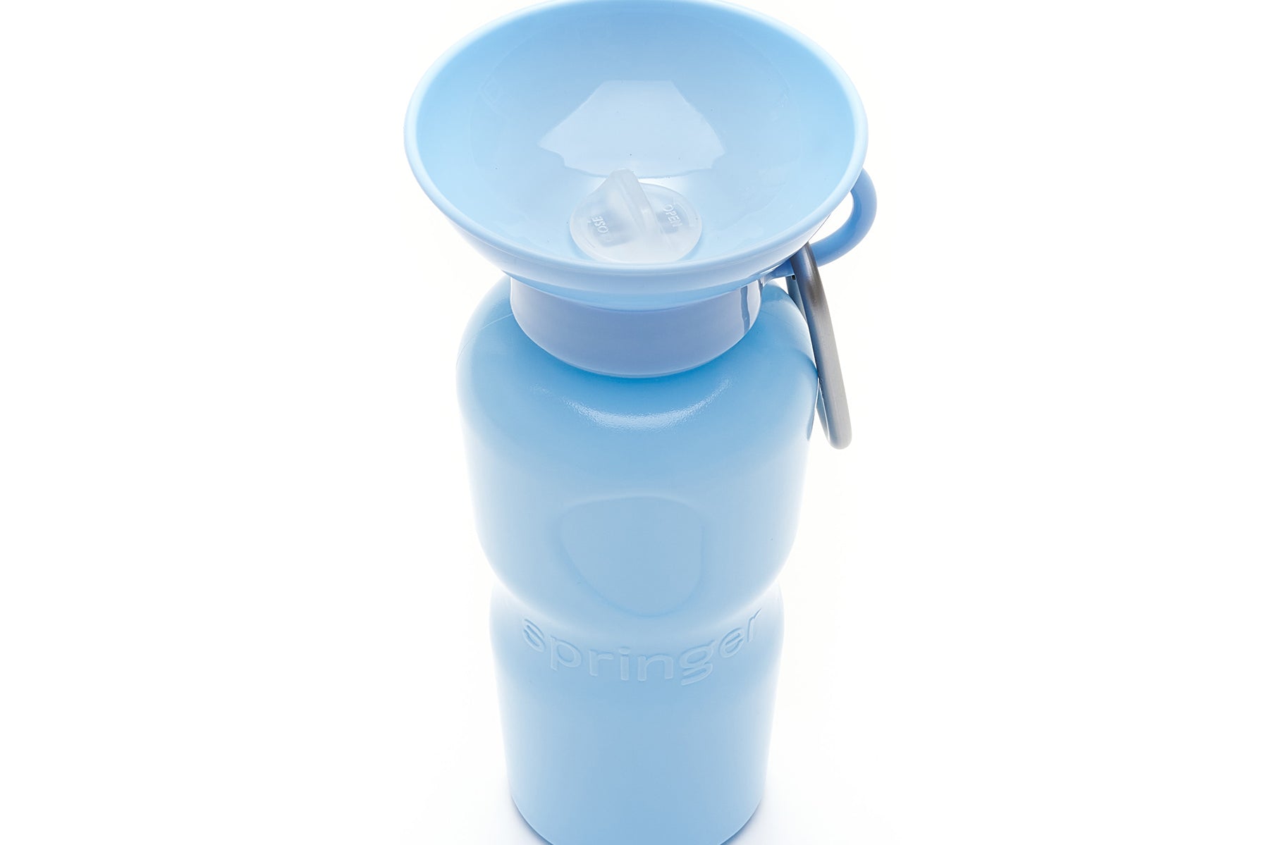 Classic Travel Bottle (22oz)
