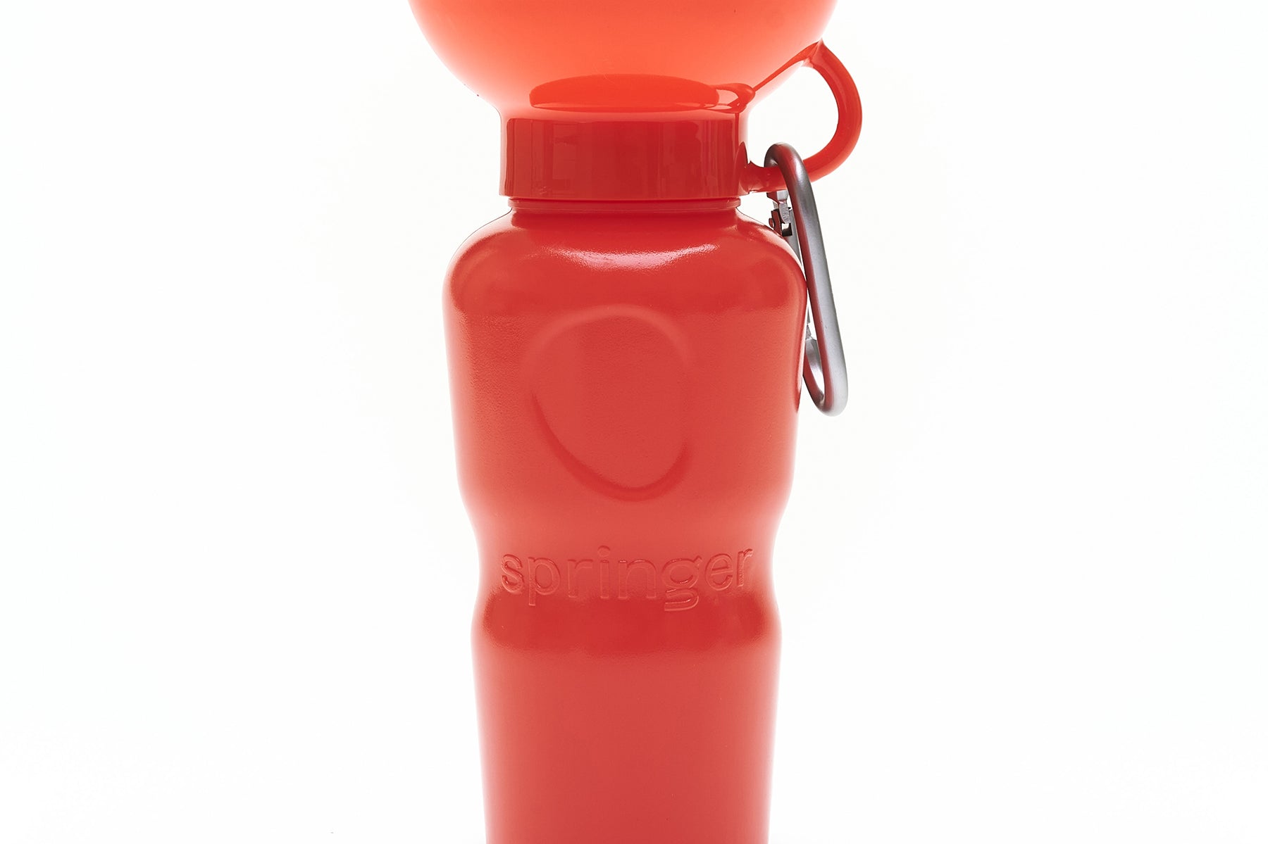 Classic Travel Bottle (22oz)