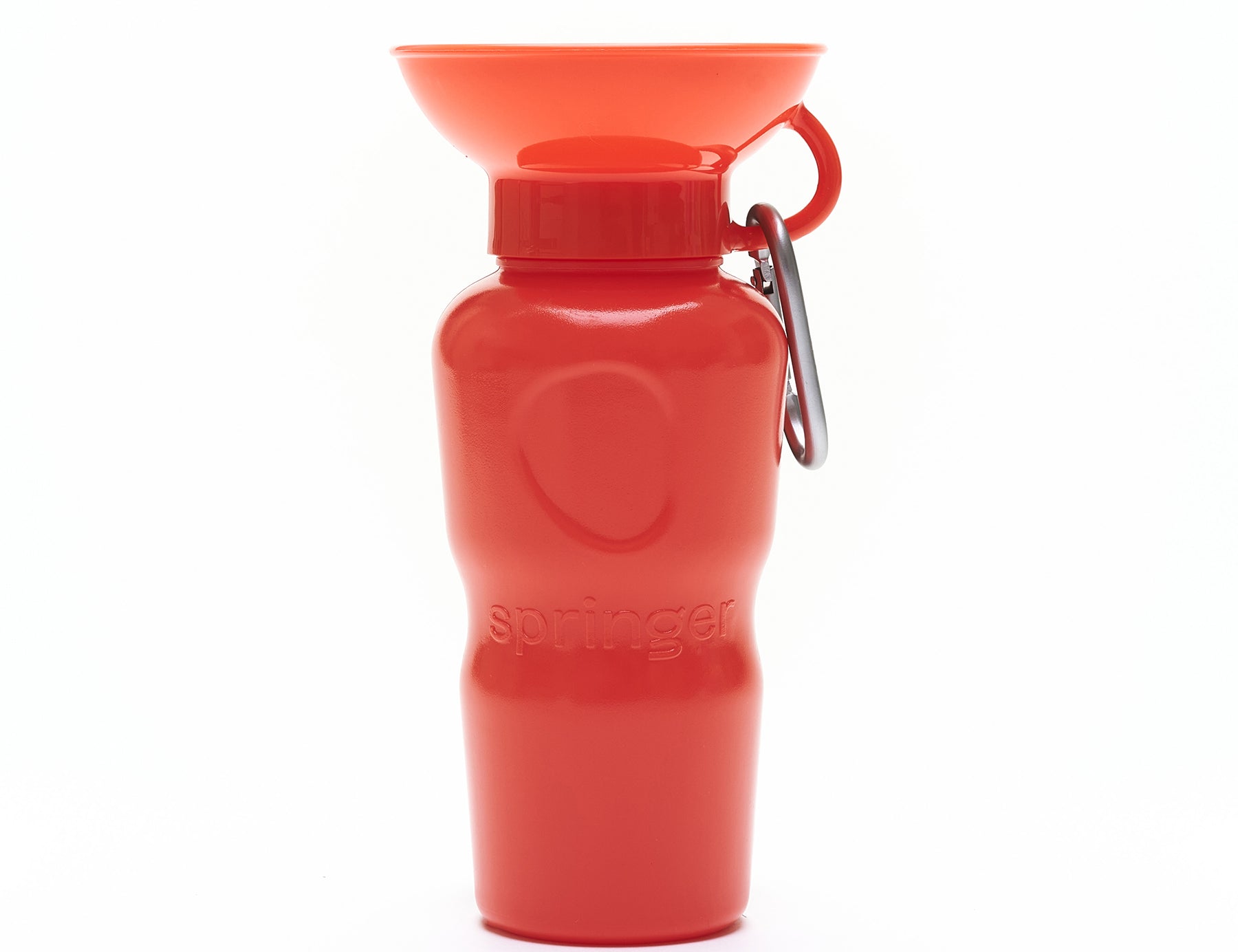 Classic Travel Bottle (22oz)