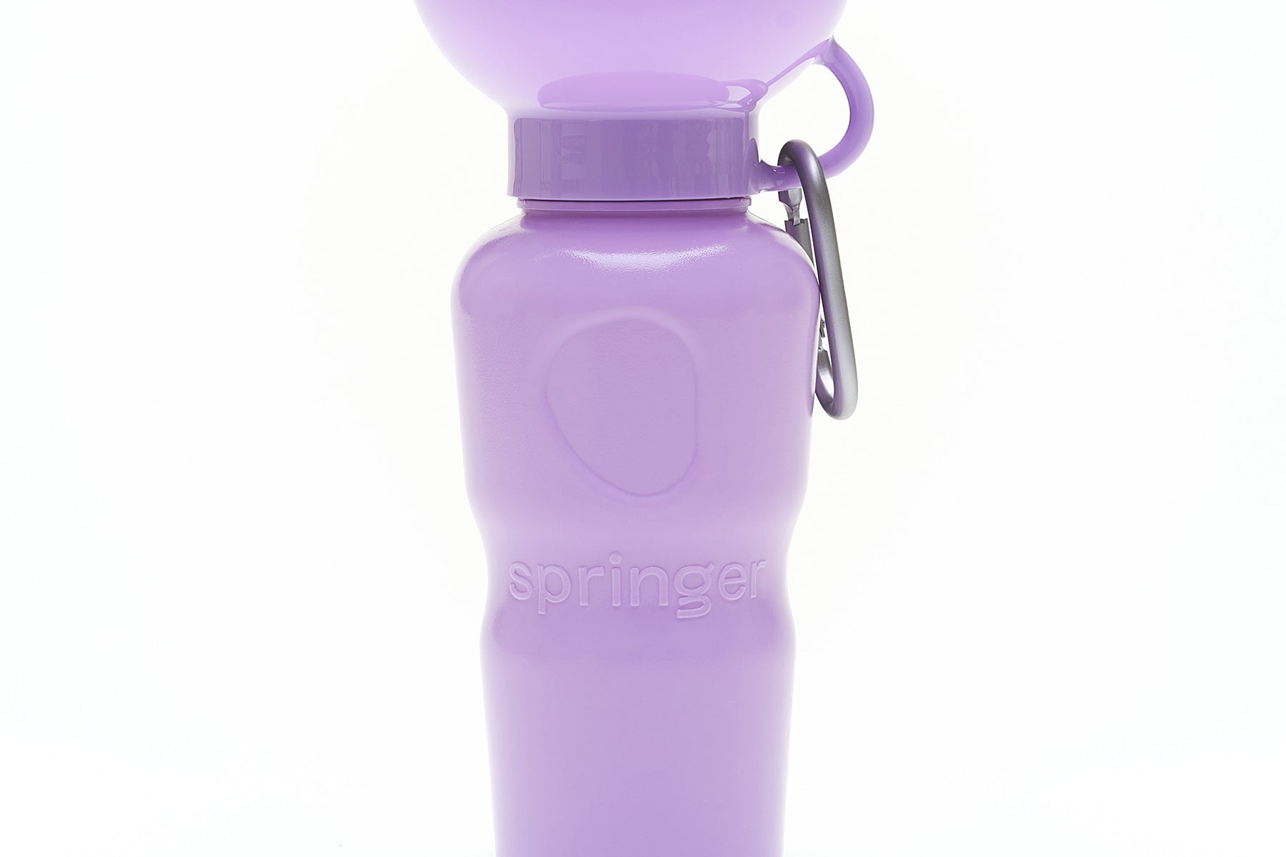 Classic Travel Bottle (22oz)