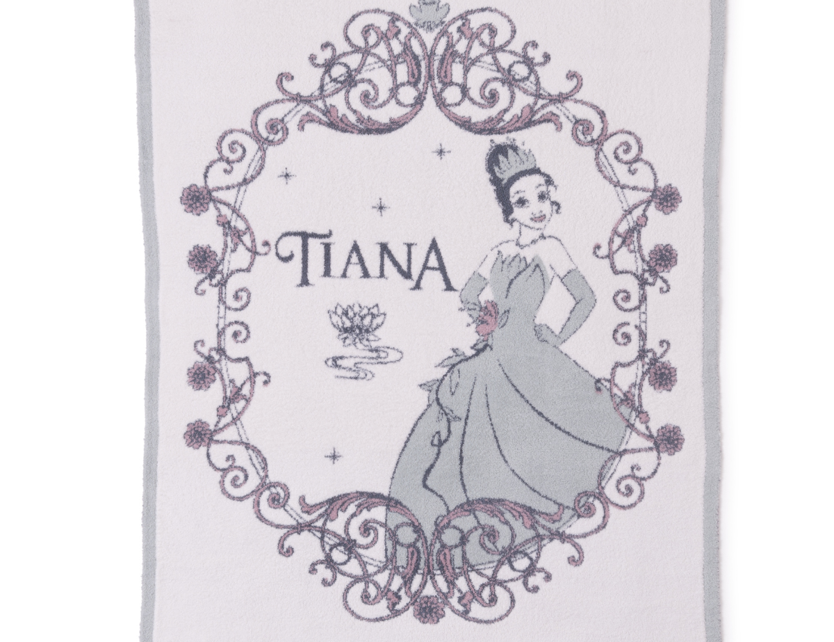 Cozy Disney Princess Blanket