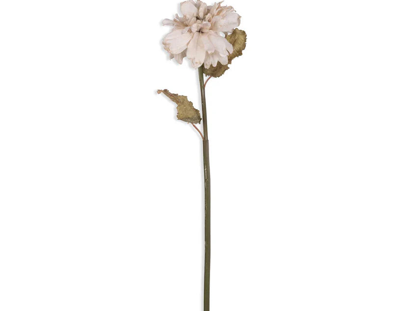 Abigail Ahern Artificial Dahlia in Evening Dew, single pale cream faux dahlia stem on white