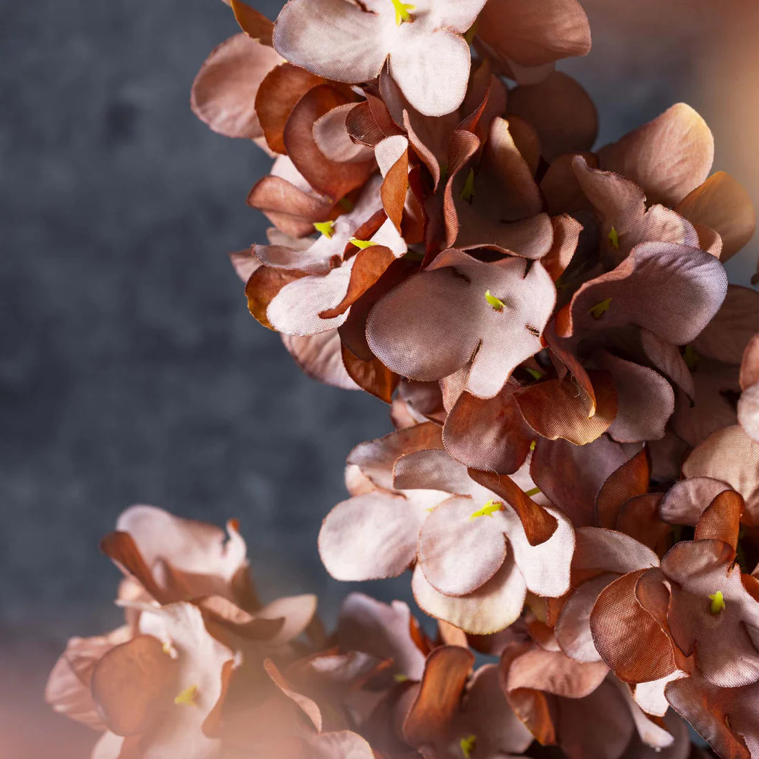 Abigail Ahern artificial flowers, close-up of rust-pink hydrangea petals on a dark background