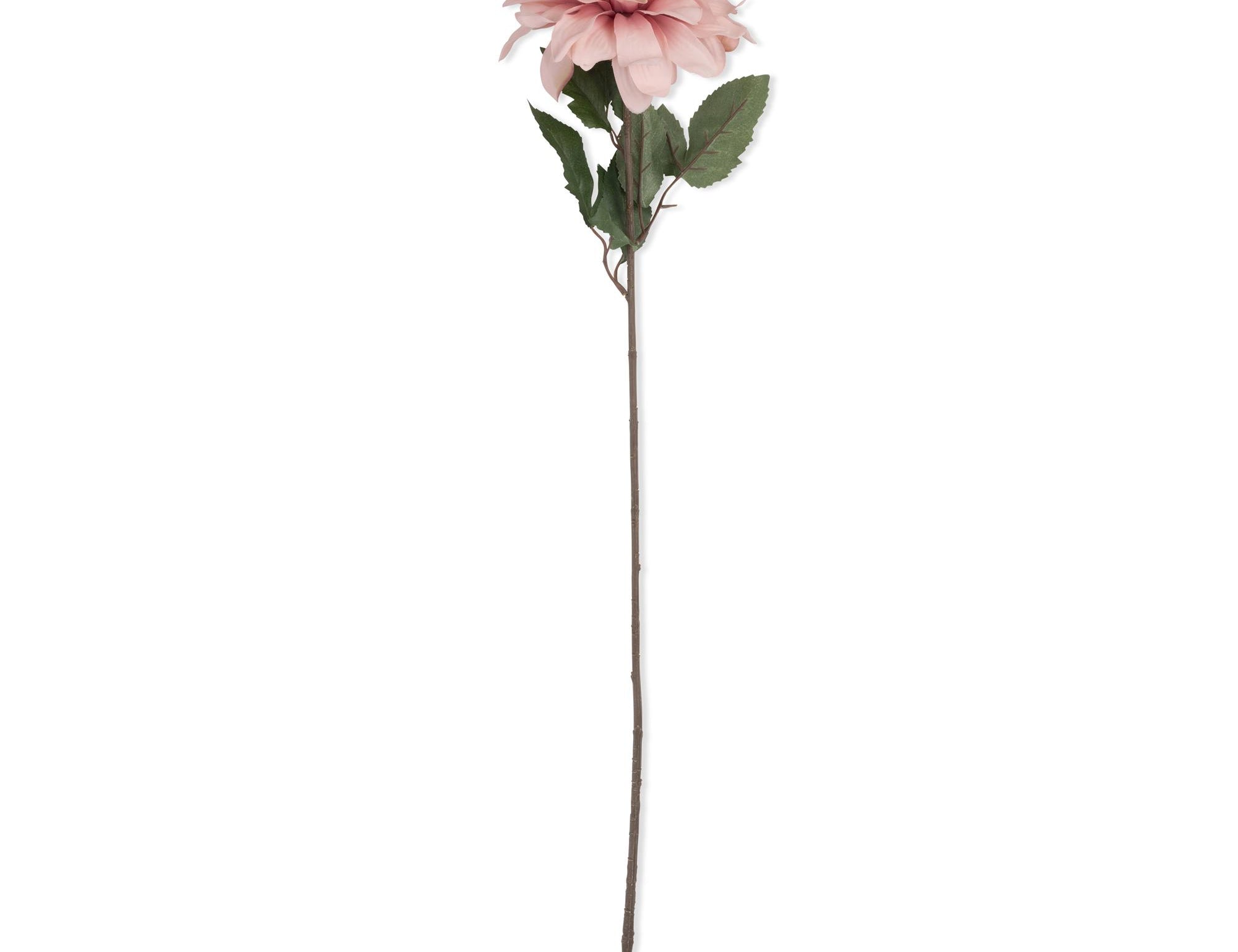 Abigail Ahern Artificial Dahlia Flamingo, single dusty pink faux dahlia stem with green leaves on white