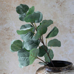 Abigail Ahern Artificial Eucalyptus Silver Dollar stems in a dark vase against a stone wall