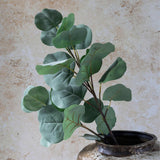 Abigail Ahern Artificial Eucalyptus Silver Dollar stems in a dark vase against a stone wall