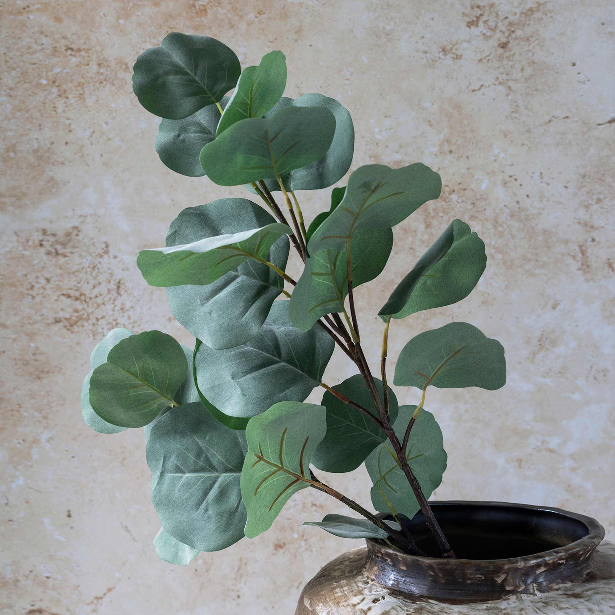 Abigail Ahern Artificial Eucalyptus Silver Dollar stems in a dark vase against a stone wall