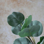 Abigail Ahern Artificial Eucalyptus Silver Dollar, close-up of the round green faux leaves
