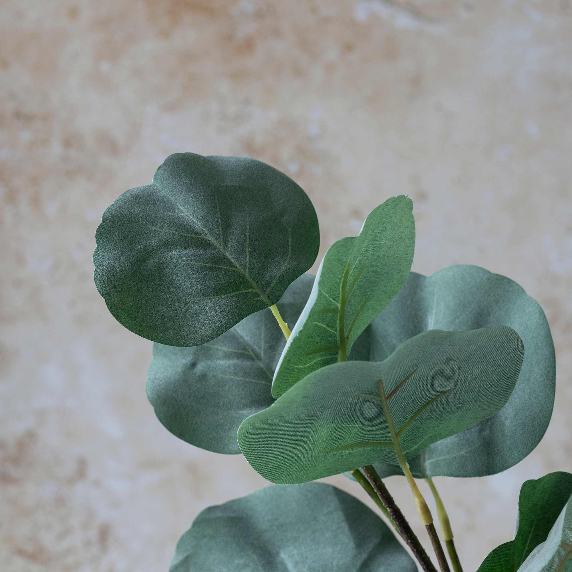 Abigail Ahern Artificial Eucalyptus Silver Dollar, close-up of the round green faux leaves
