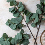 Abigail Ahern Artificial Eucalyptus Silver Dollar, several green stems laid on a stone surface